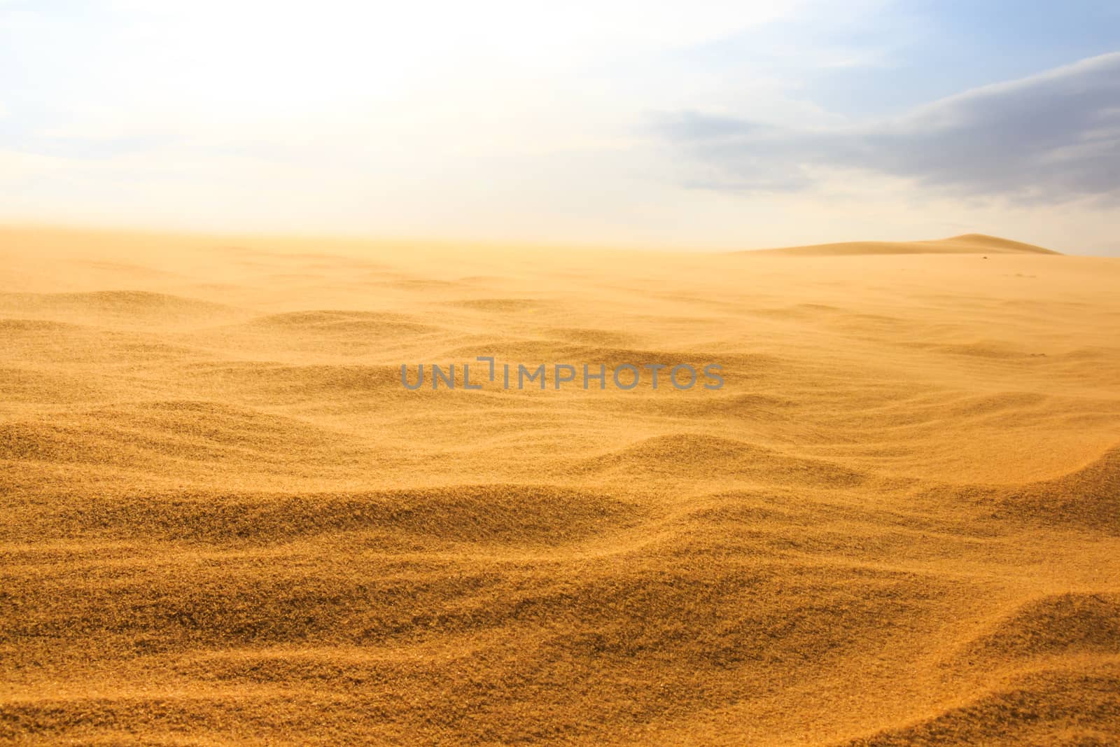 Wave on desert at Mui Ne, South Vietnam