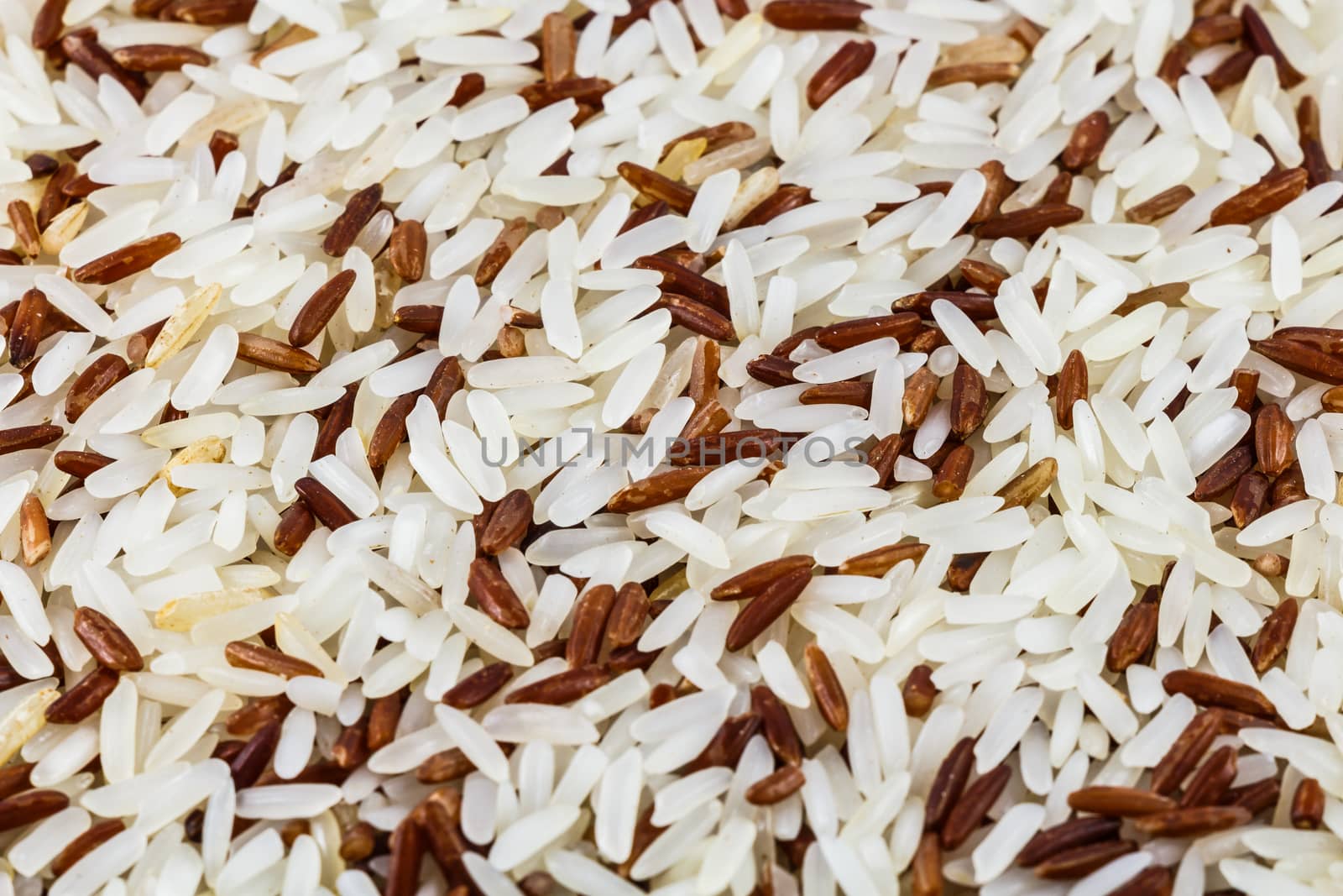 brown rice by stockdevil