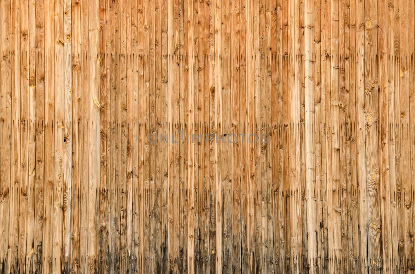 Old vertical wood planks with screws texture 