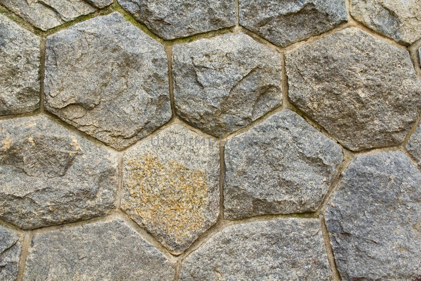 Photo shows a detailed closeup of the stone wall background.