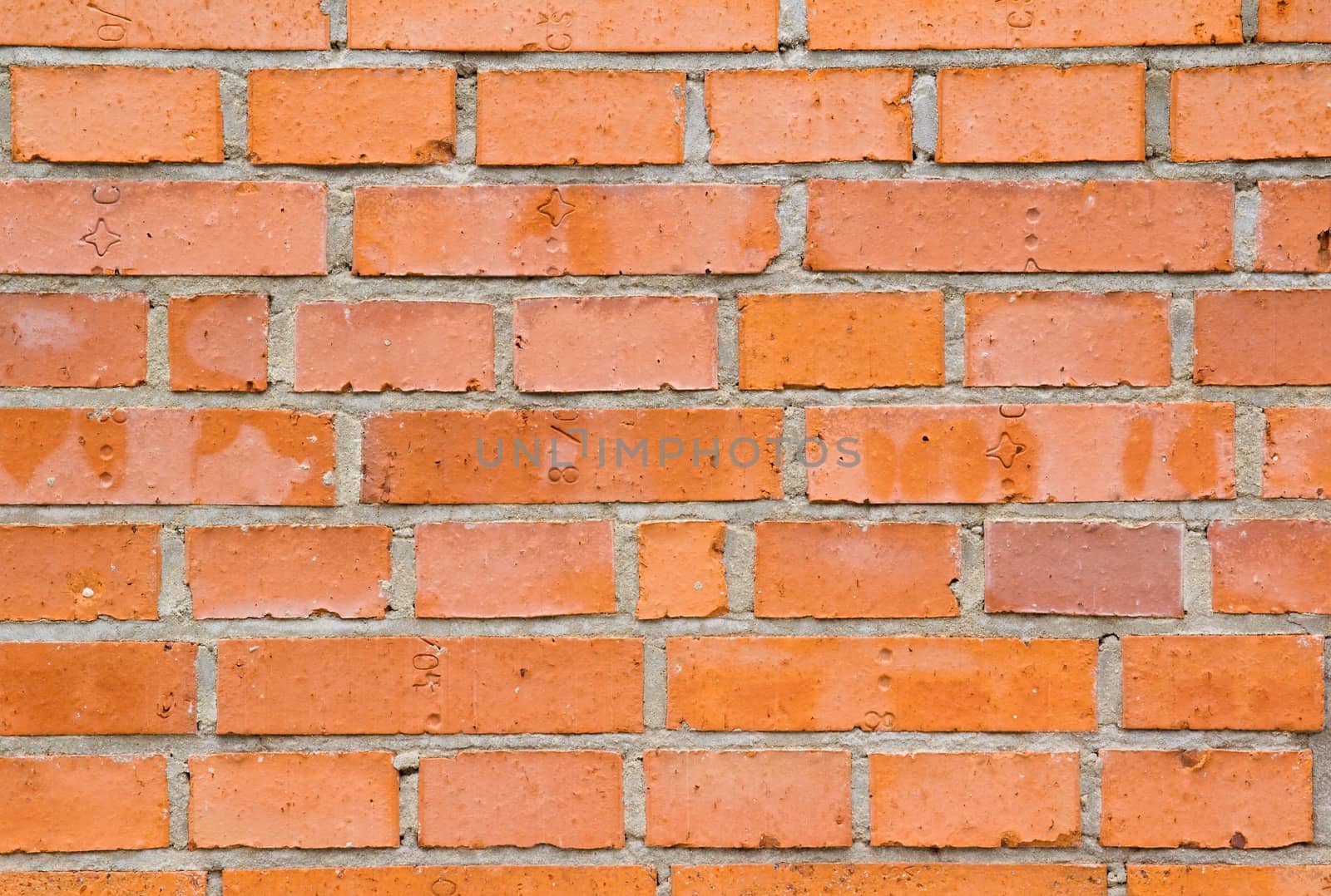 Photo shows a detailed closeup of the bricks wall background.