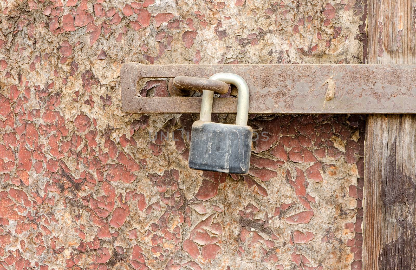 Old rusty padlock on damaged wooden doors surface.