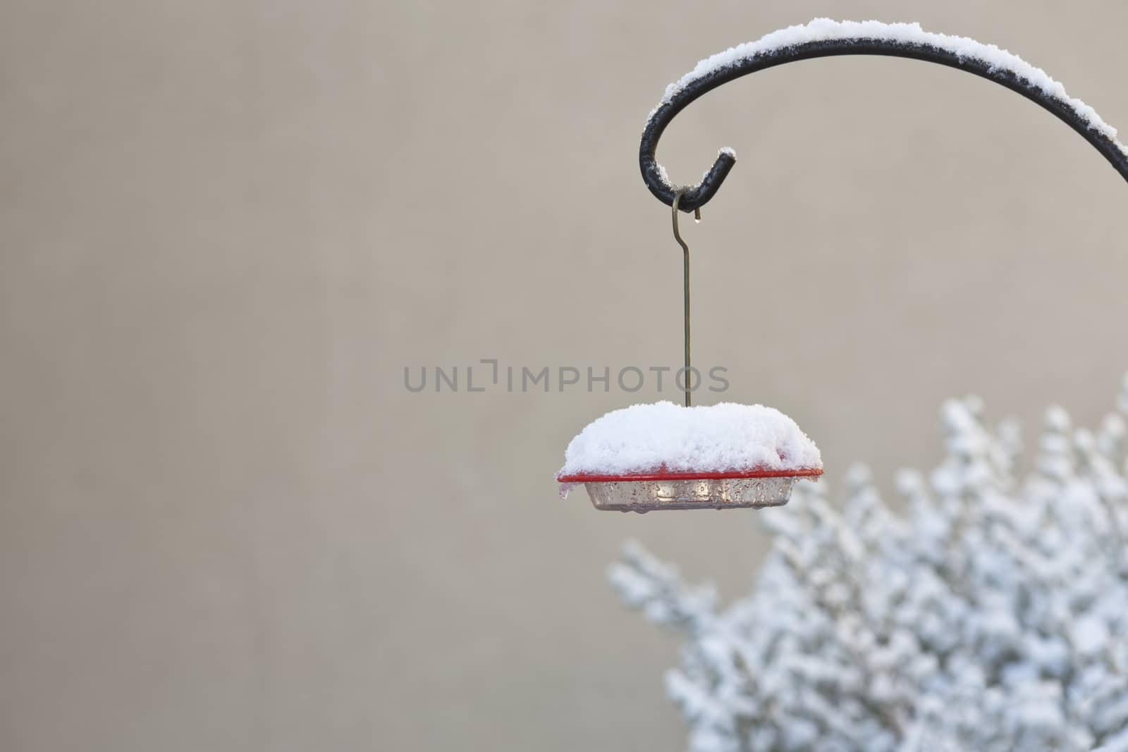 Hummingbird feeder is topped with a wintry covering of fresh ice and snow.  Location is Tucson, Arizona, on New Year's Day, 2015.  Unusual cold weather conditions in the Sonoran Desert of America's Southwest.  