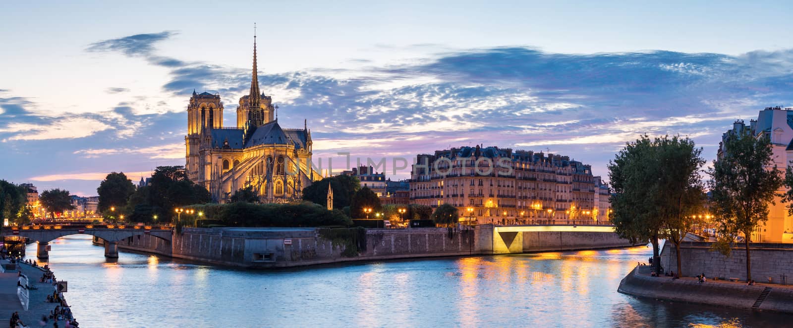 Panorama of Notre Dame Cathedral with Paris cityscape at dusk, France