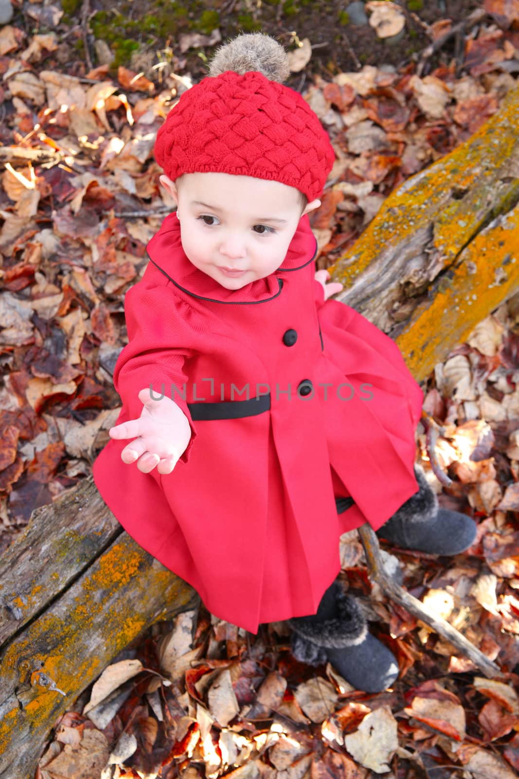 Little girl wearing a red coat and hat in the forest 