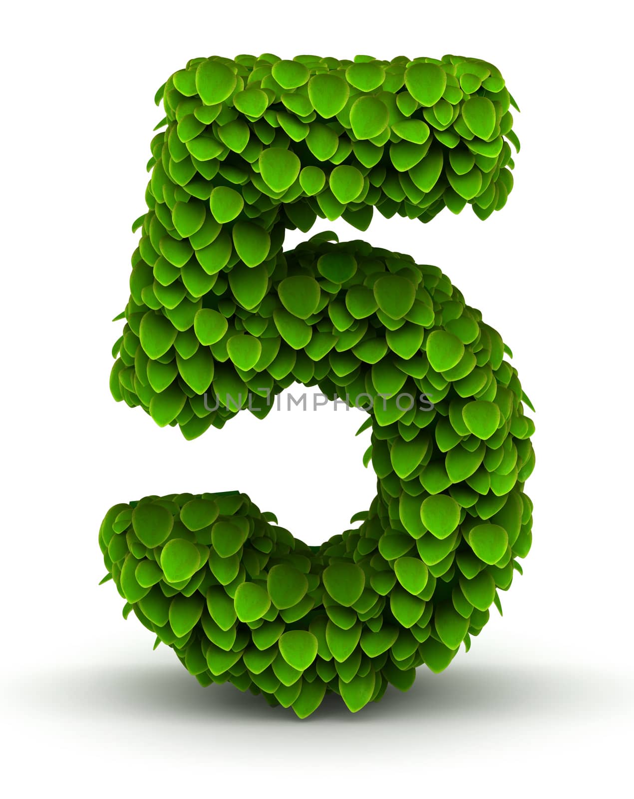 Number 5 green leaves font ecology theme on white background