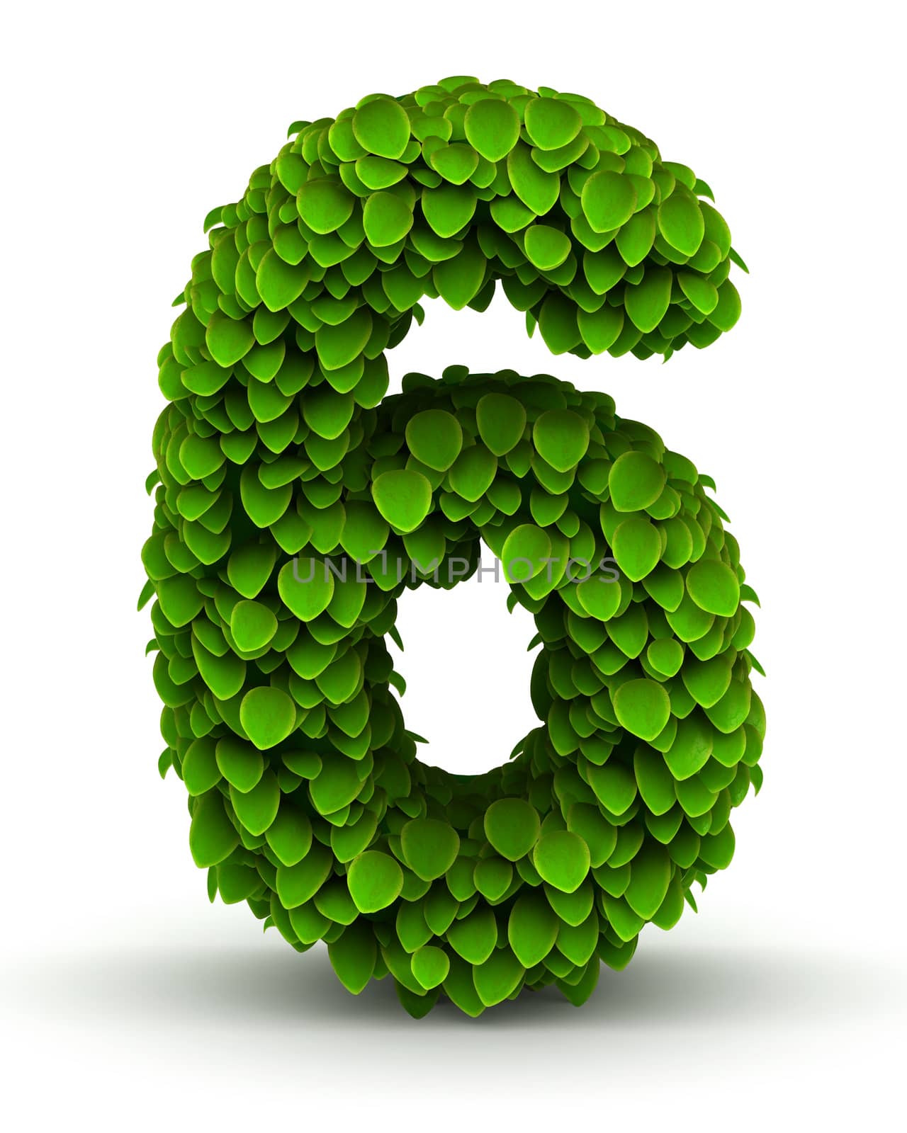 Number 6 green leaves font ecology theme on white background