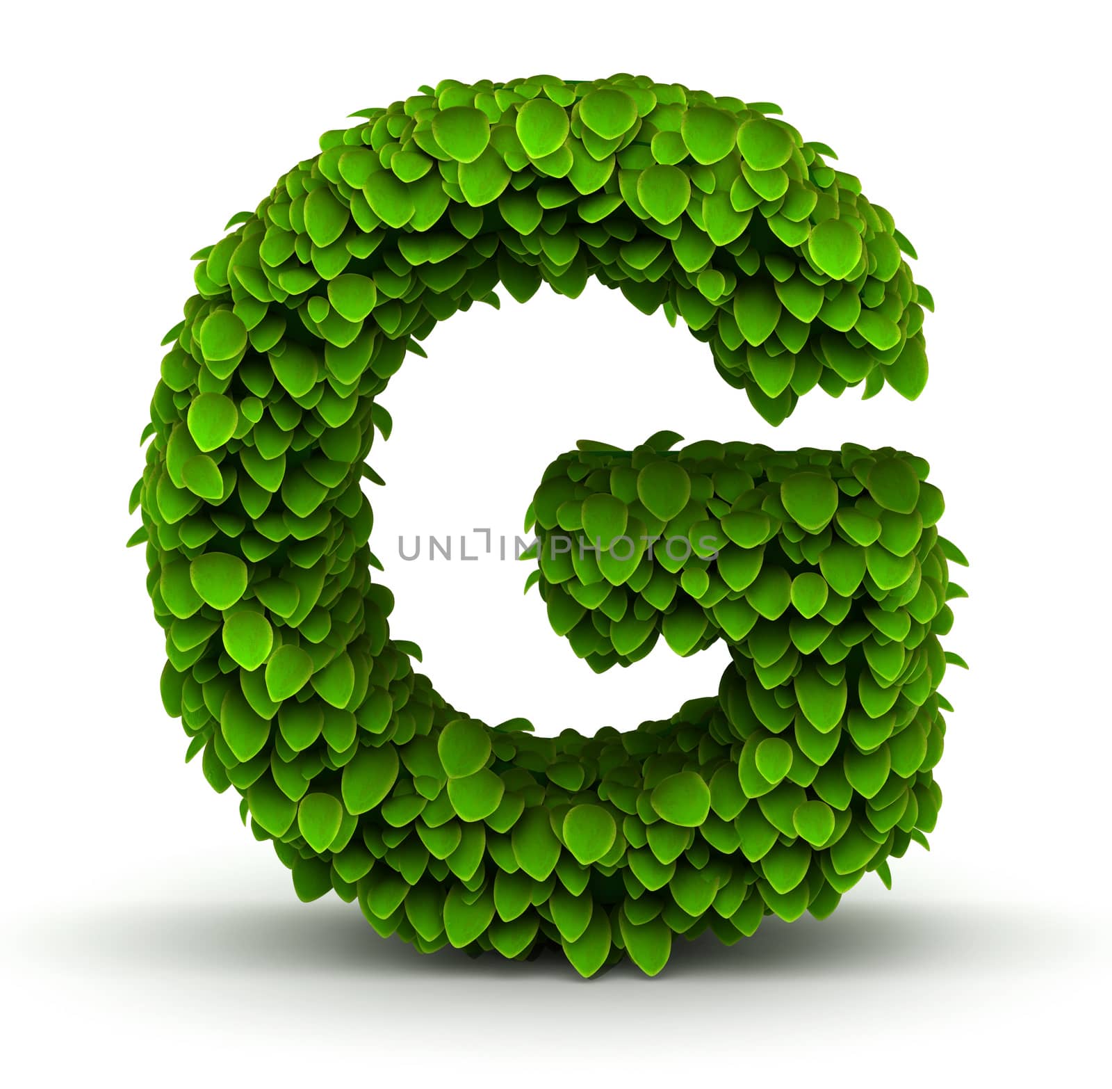 Leaves alphabet font letter G on white background