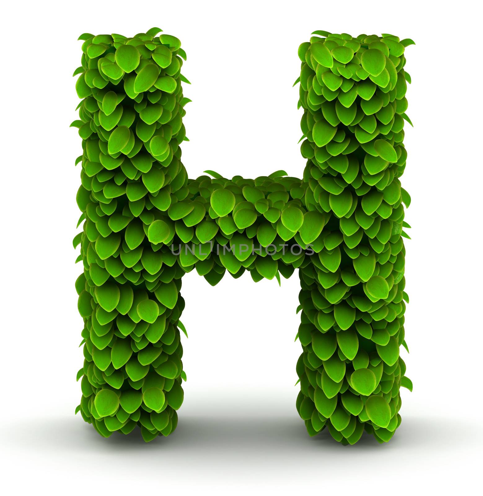 Leaves alphabet font letter H on white background