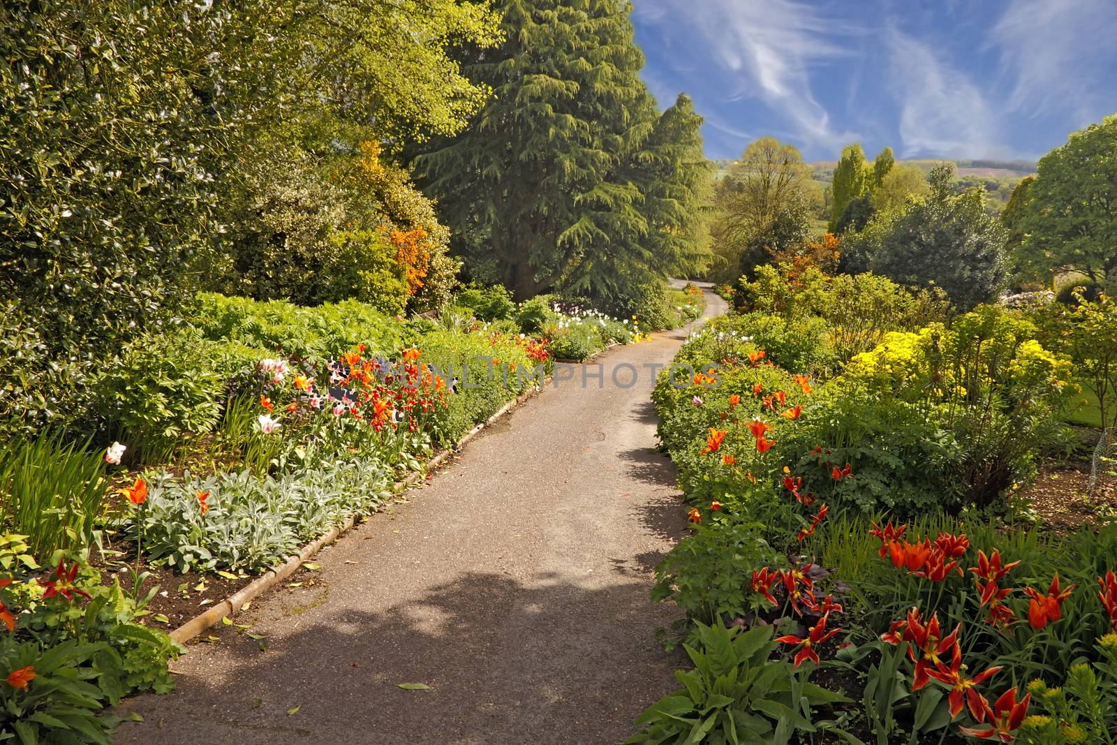 Late Spring mixed borders allongside a path in the Dorothy Clive garden in Shropshire, England.