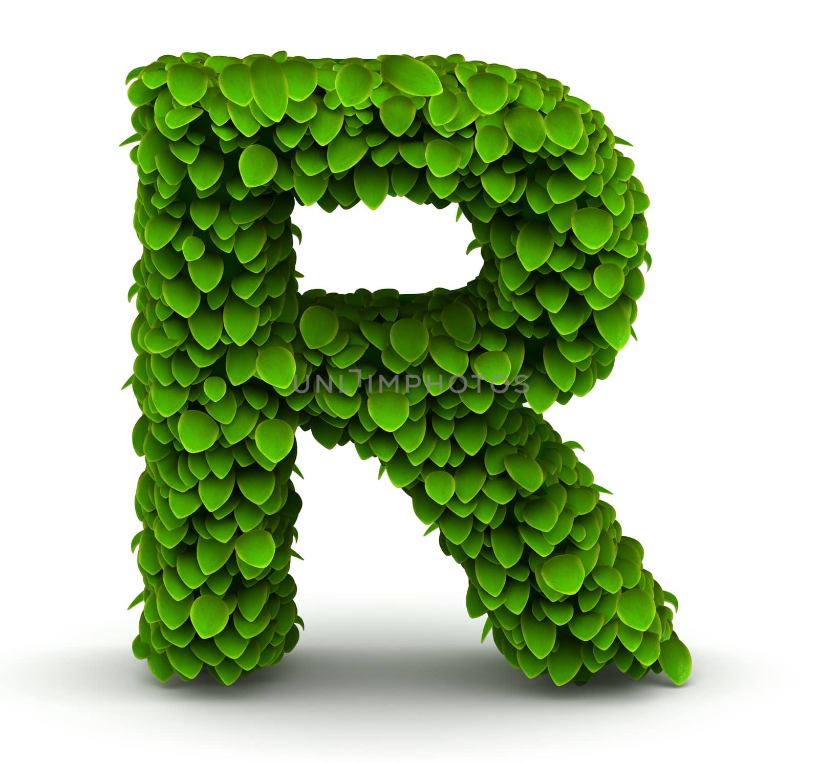 Leaves alphabet font letter R on white background