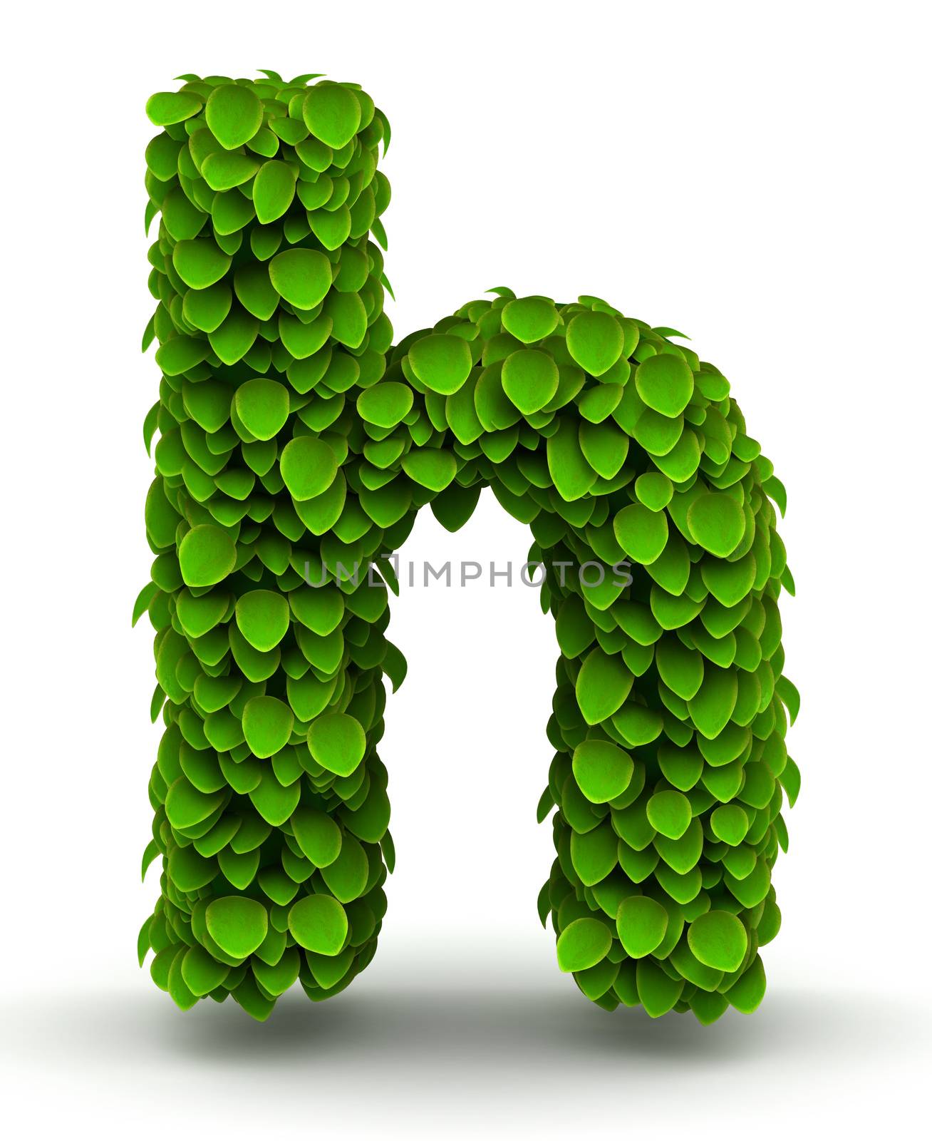 Leaves alphabet font letter h lowercase on white background