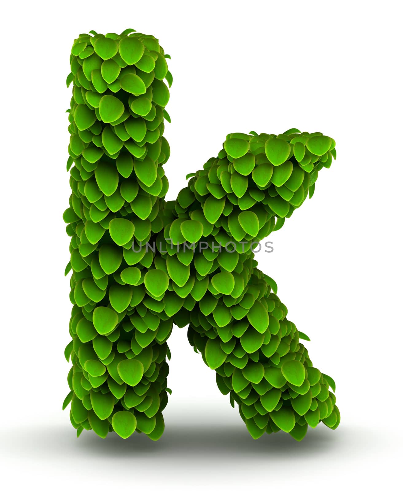 Leaves alphabet font letter k lowercase on white background