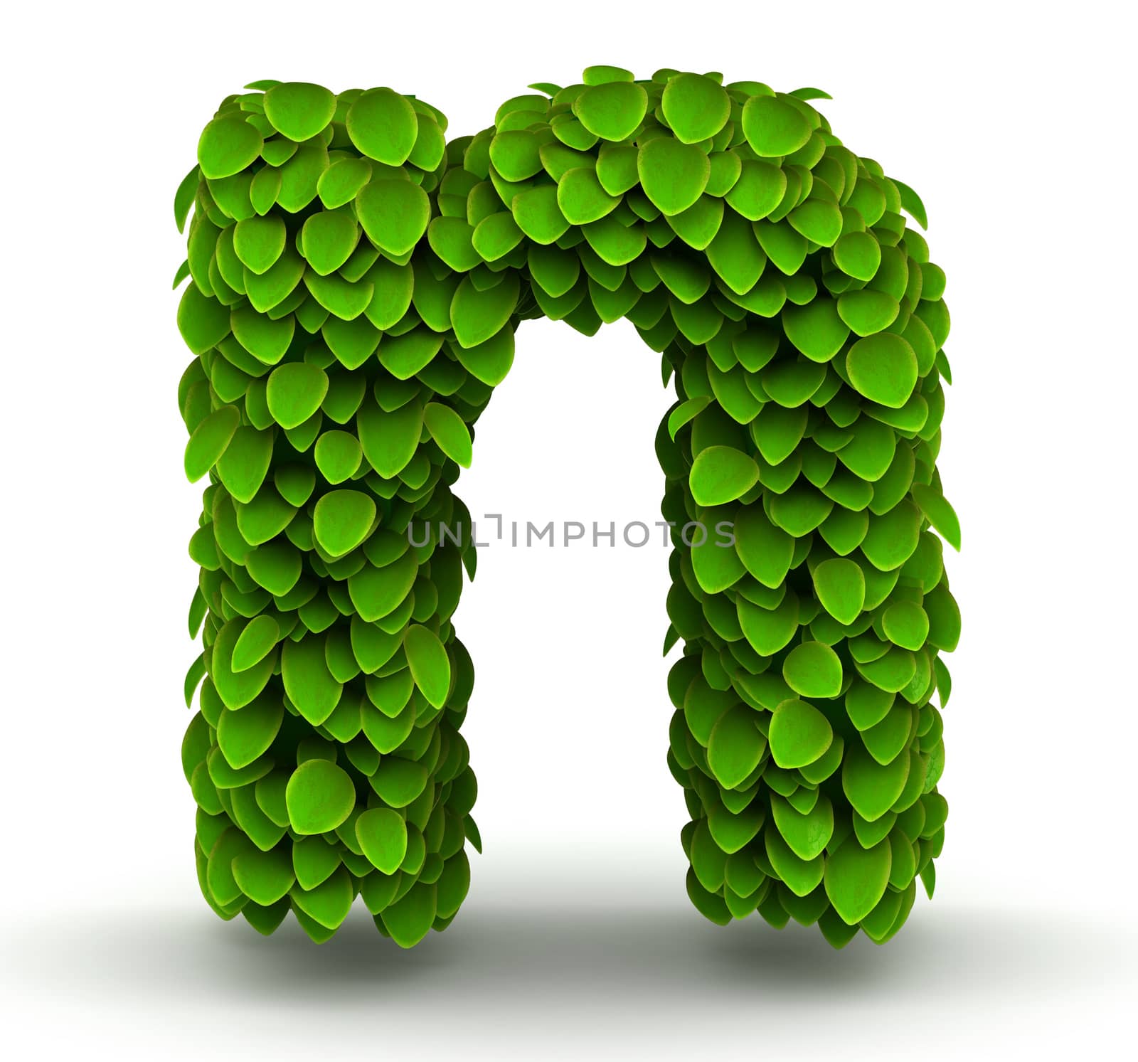 Leaves alphabet font letter n lowercase on white background