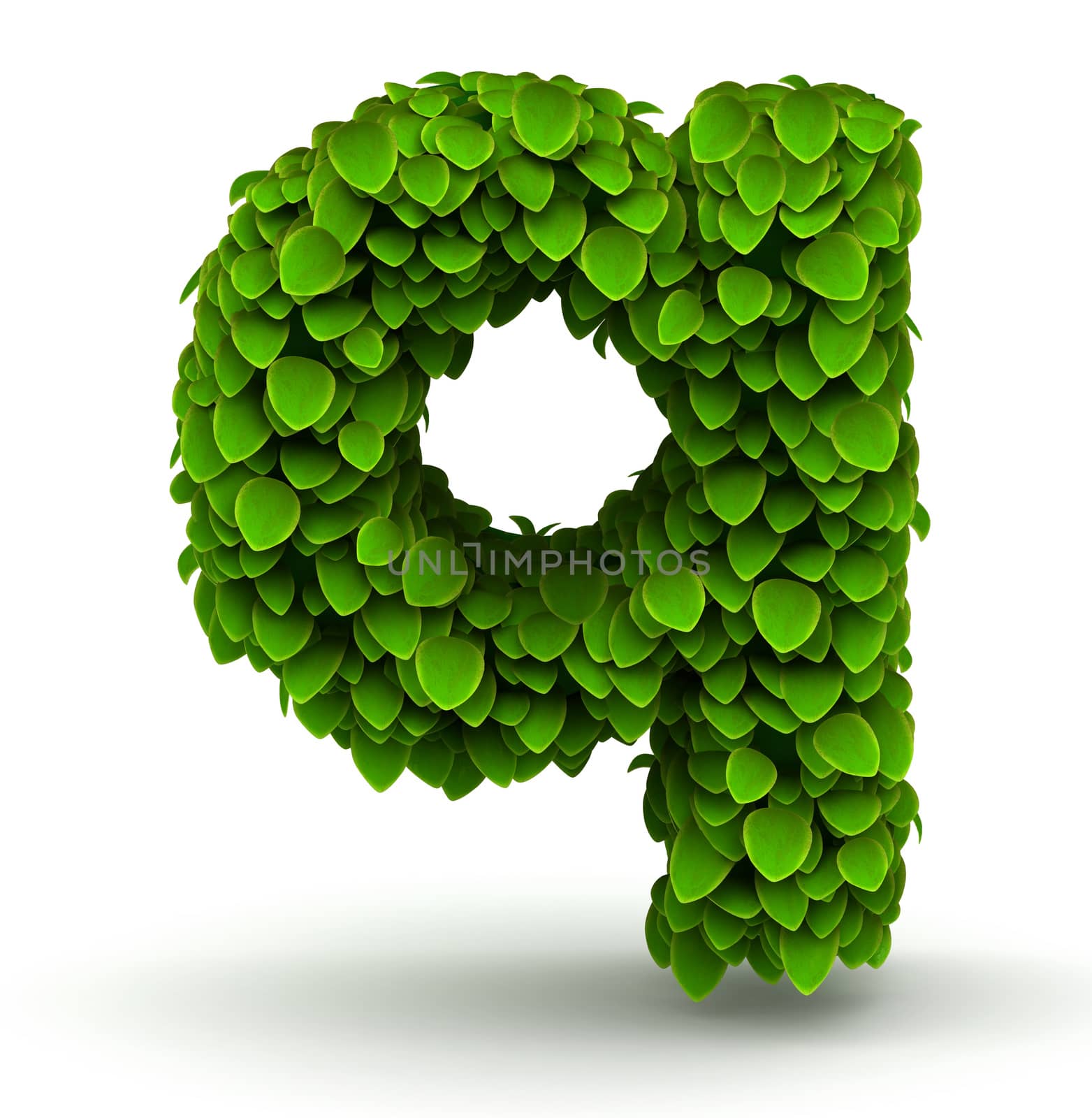 Leaves alphabet font letter q lowercase on white background