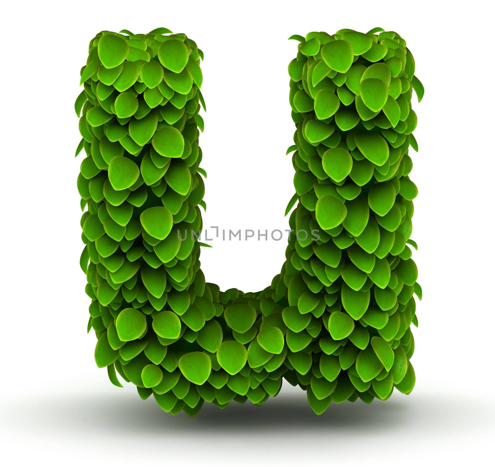 Leaves alphabet font letter u lowercase on white background