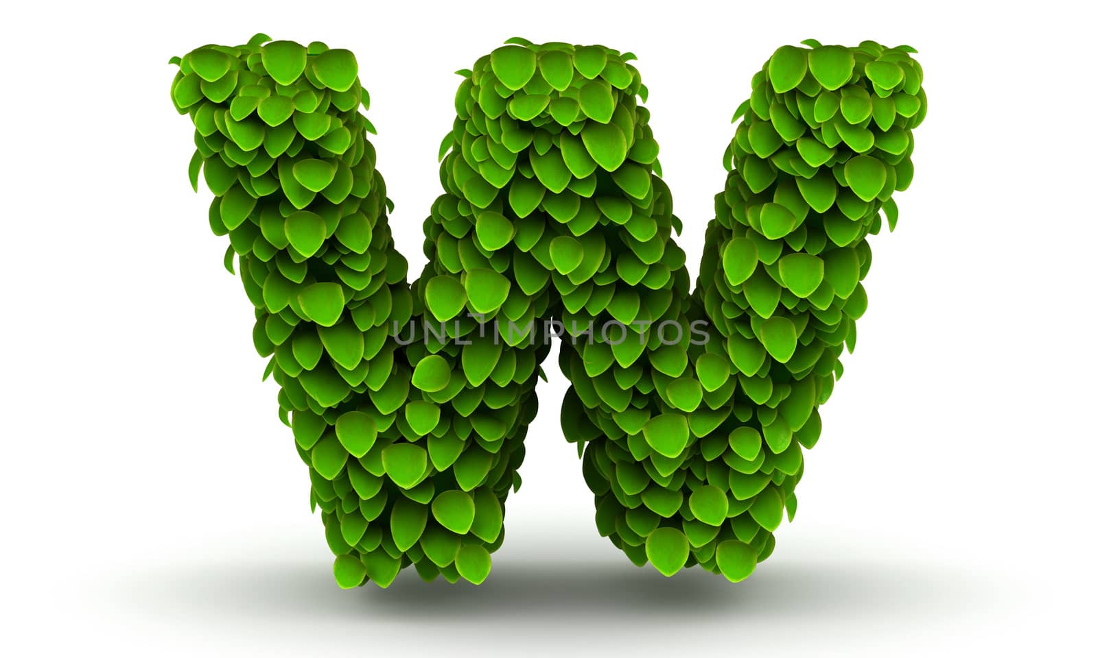 Leaves alphabet font letter w lowercase on white background