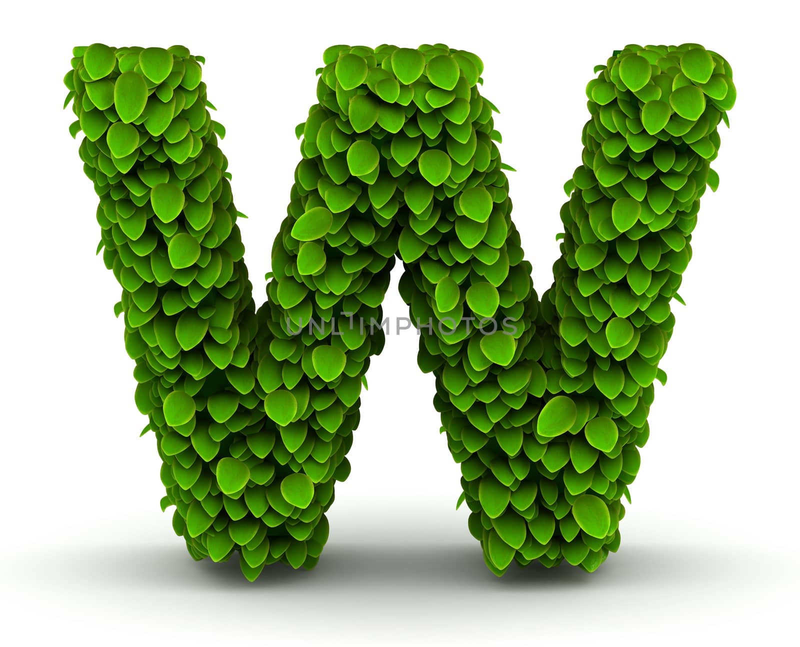 Leaves alphabet font letter W on white background