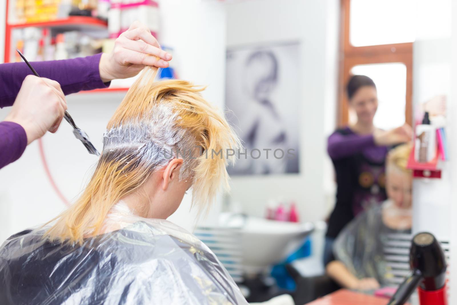 Hairdresser salon. Hair colouring in process. Beautiful young woman dyeing hairs.