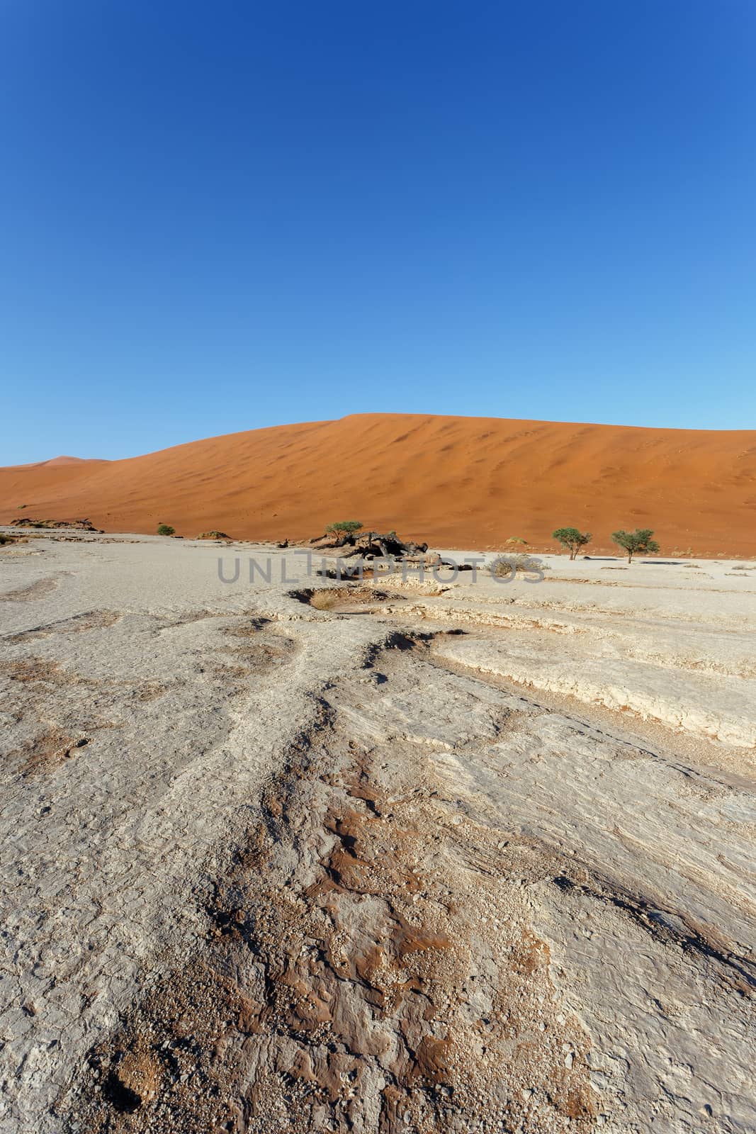 Sossusvlei beautiful sunrise landscape of hidden death valley in Namibian desert with blue sky, best place in Namibia