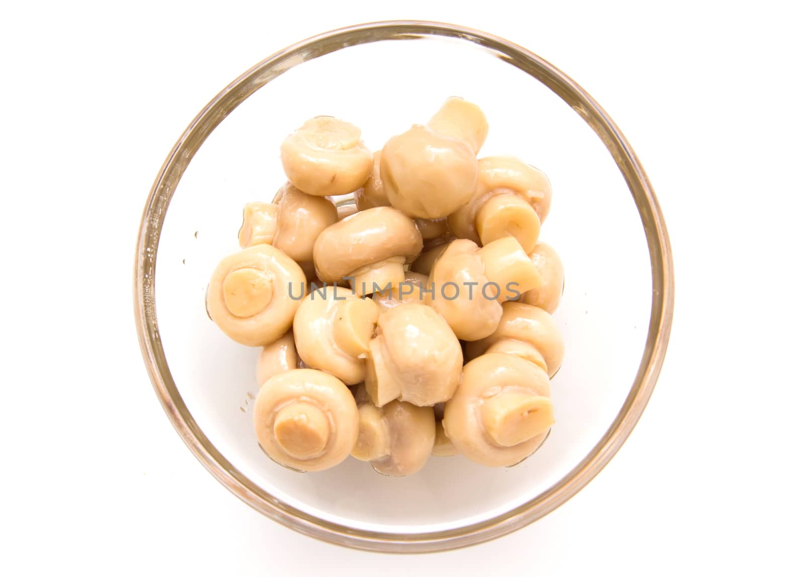 Mushrooms in glass bowl on white background seen from above