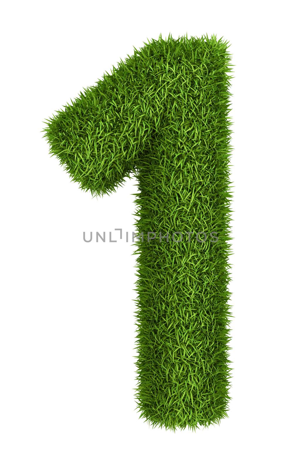 Natural grass number 1 by iunewind