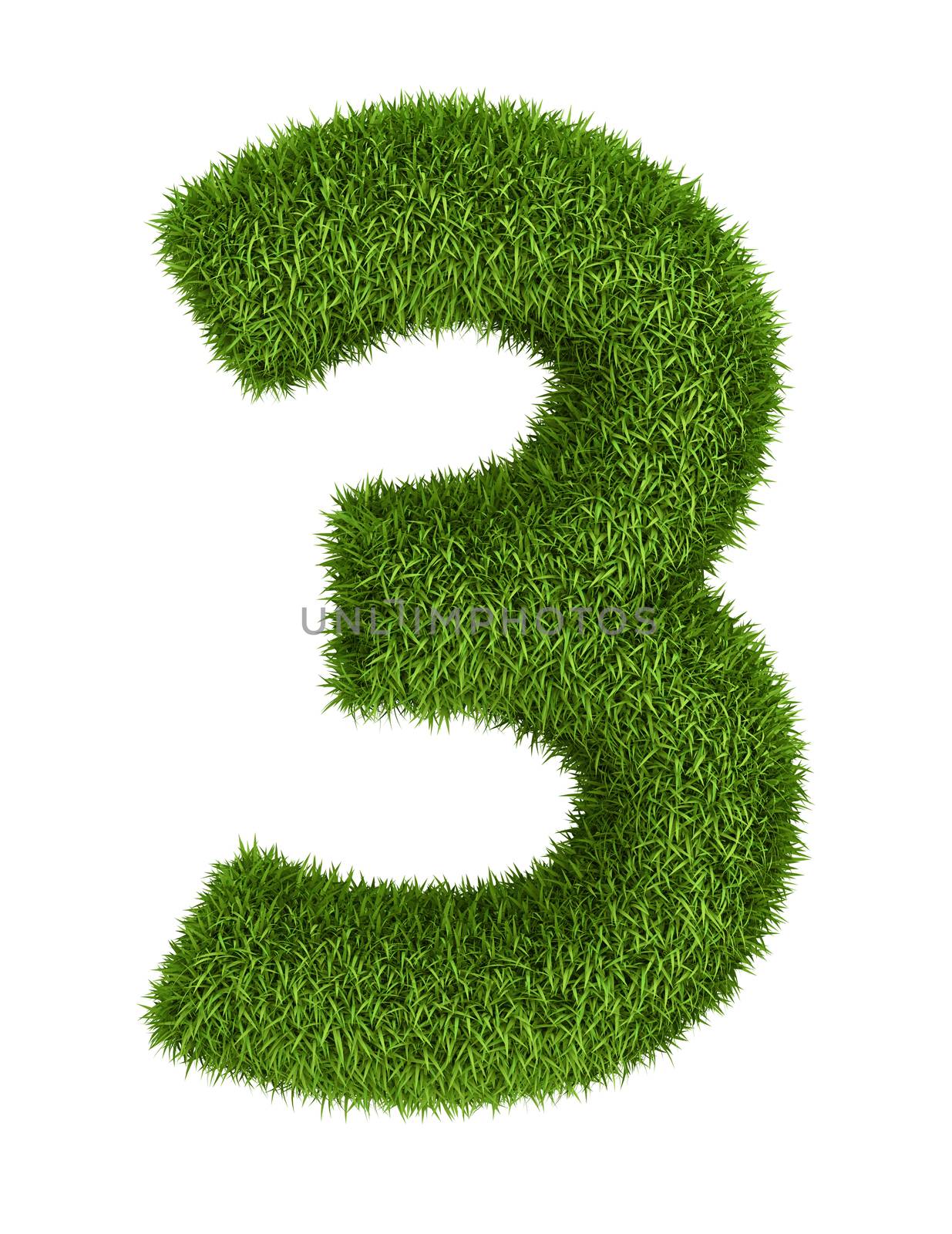 Natural 3d isolated photo realistic grass number 3