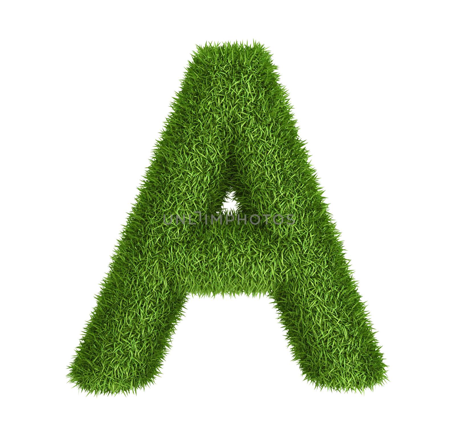 Natural grass letter A by iunewind