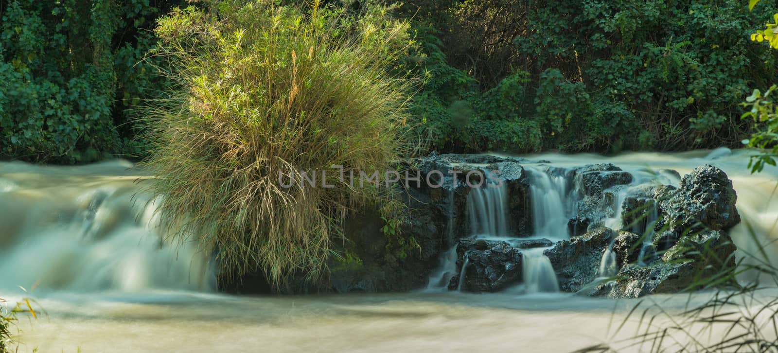 The Awash River flowing through the dense vegetation in the Rift Valley area of Ethiopia