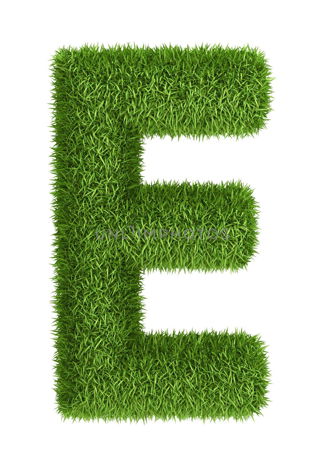 Natural grass letter E by iunewind