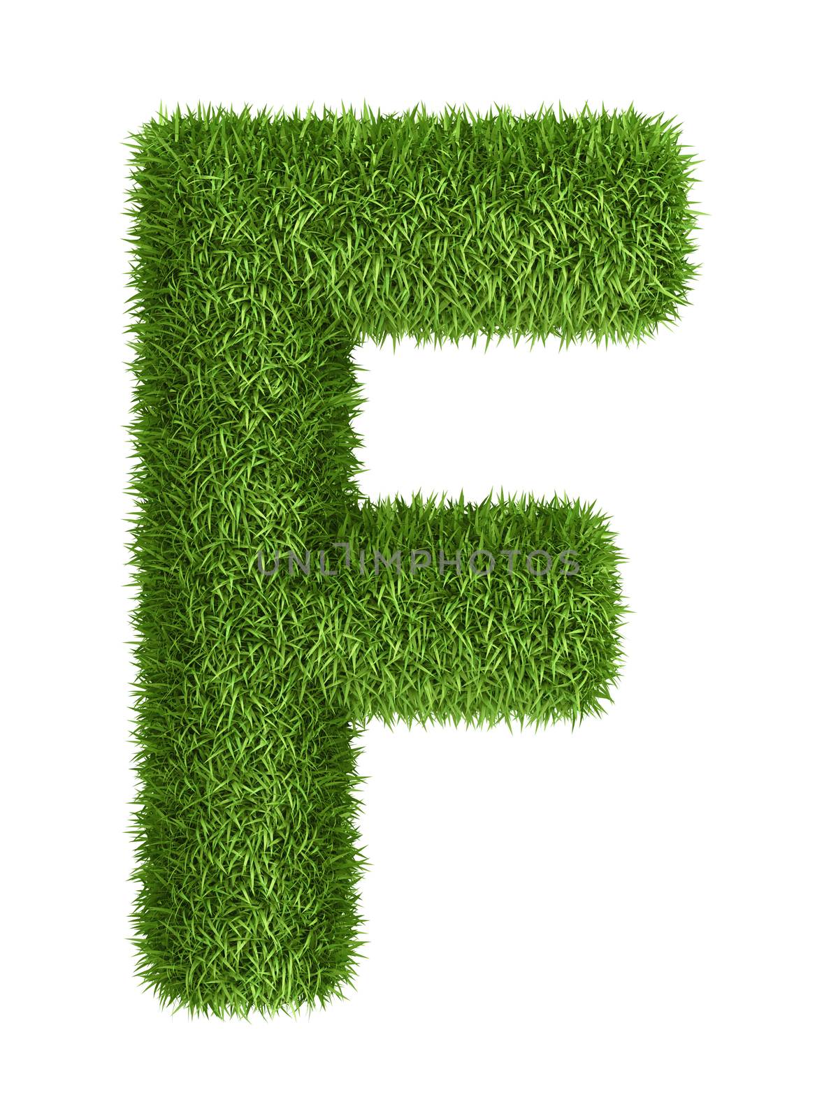 Natural grass letter F by iunewind