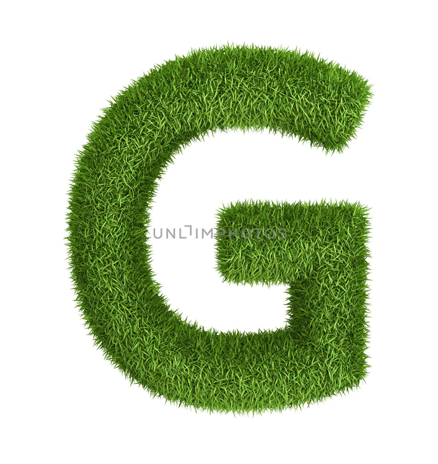 Natural grass letter G by iunewind