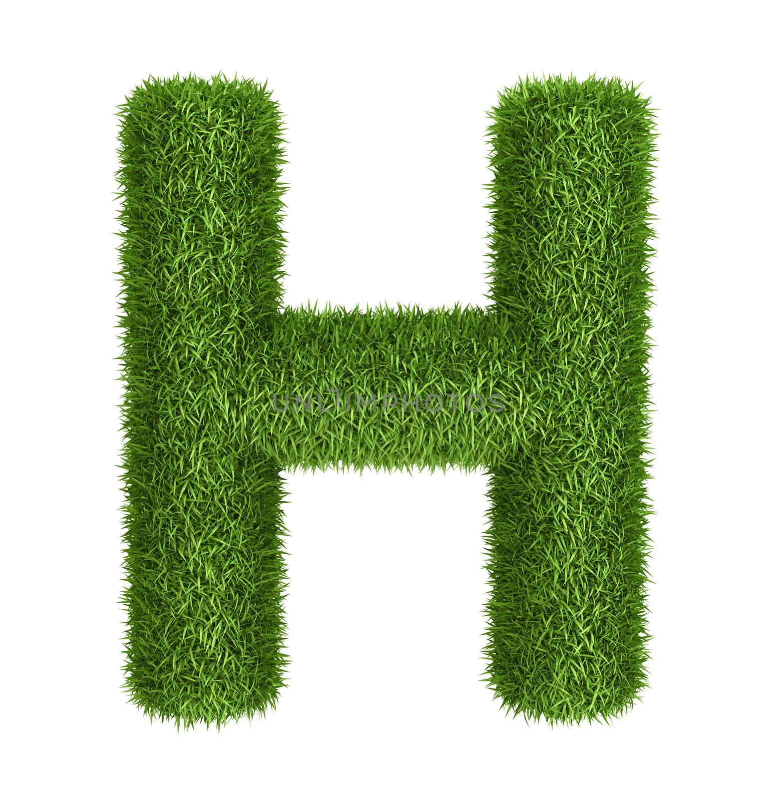 Natural grass letter H by iunewind