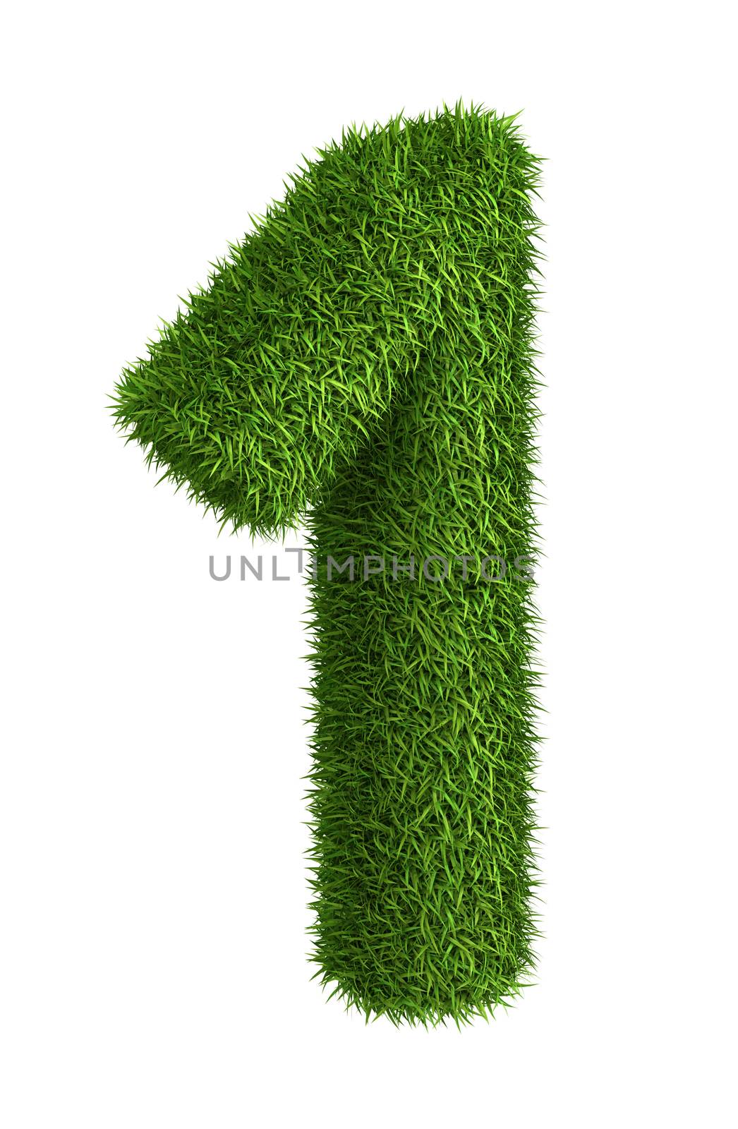 Natural grass number 1 by iunewind