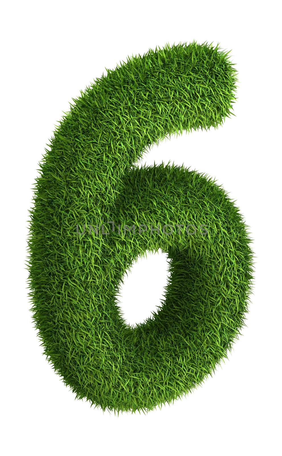 3D number 6 photo realistic grass isometric projection