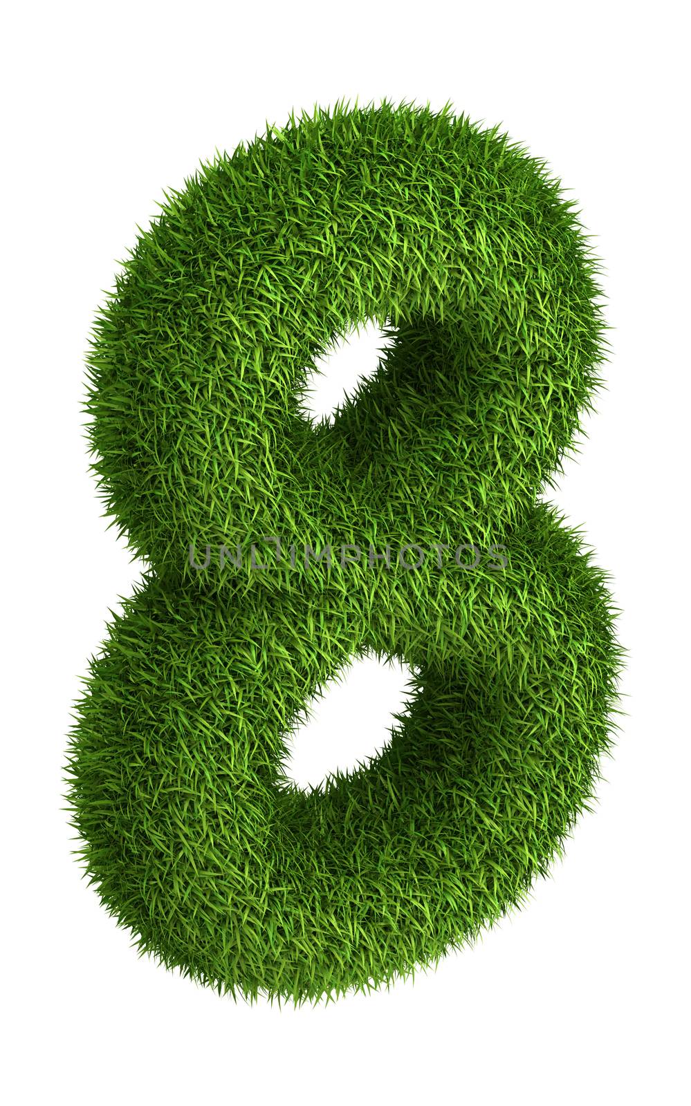 3D number 8 photo realistic grass isometric projection