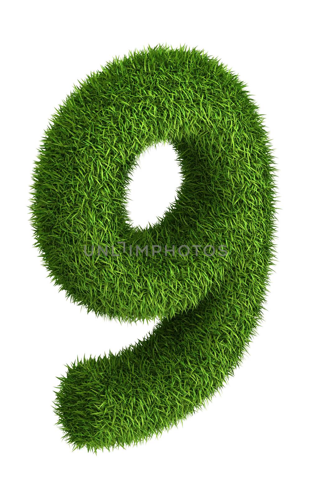 Natural grass number 9 by iunewind