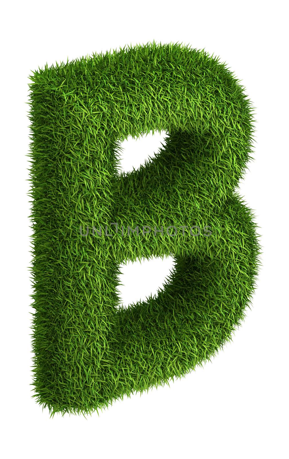 Natural grass letter B by iunewind