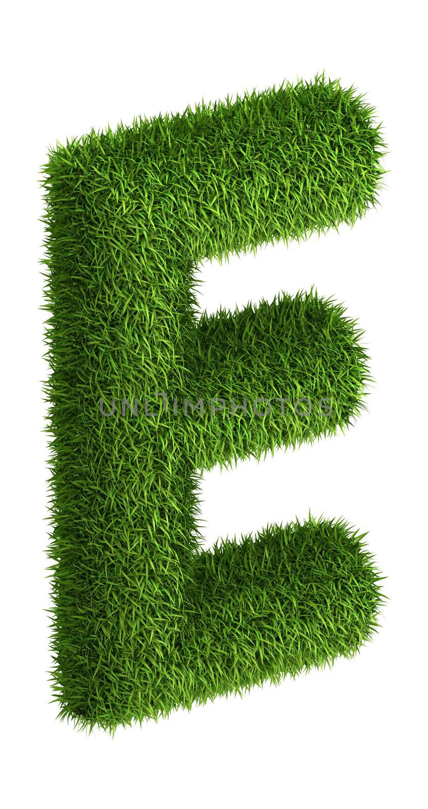Natural grass letter E by iunewind