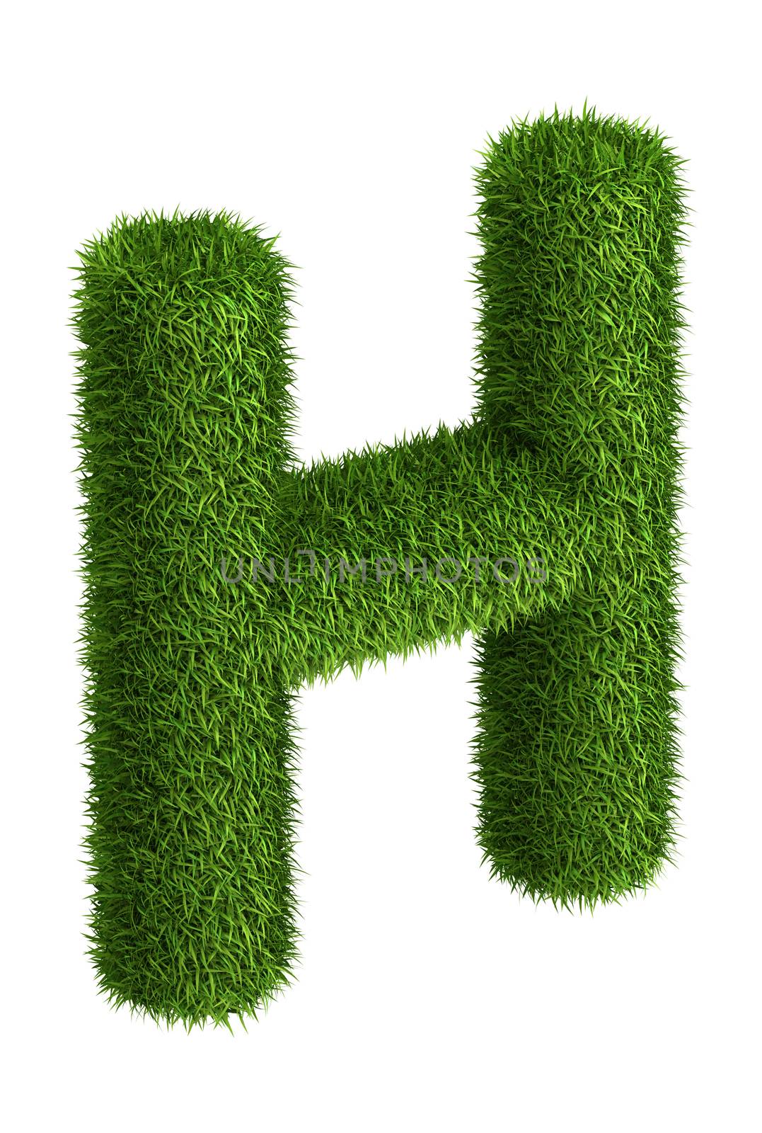 Natural grass letter H by iunewind