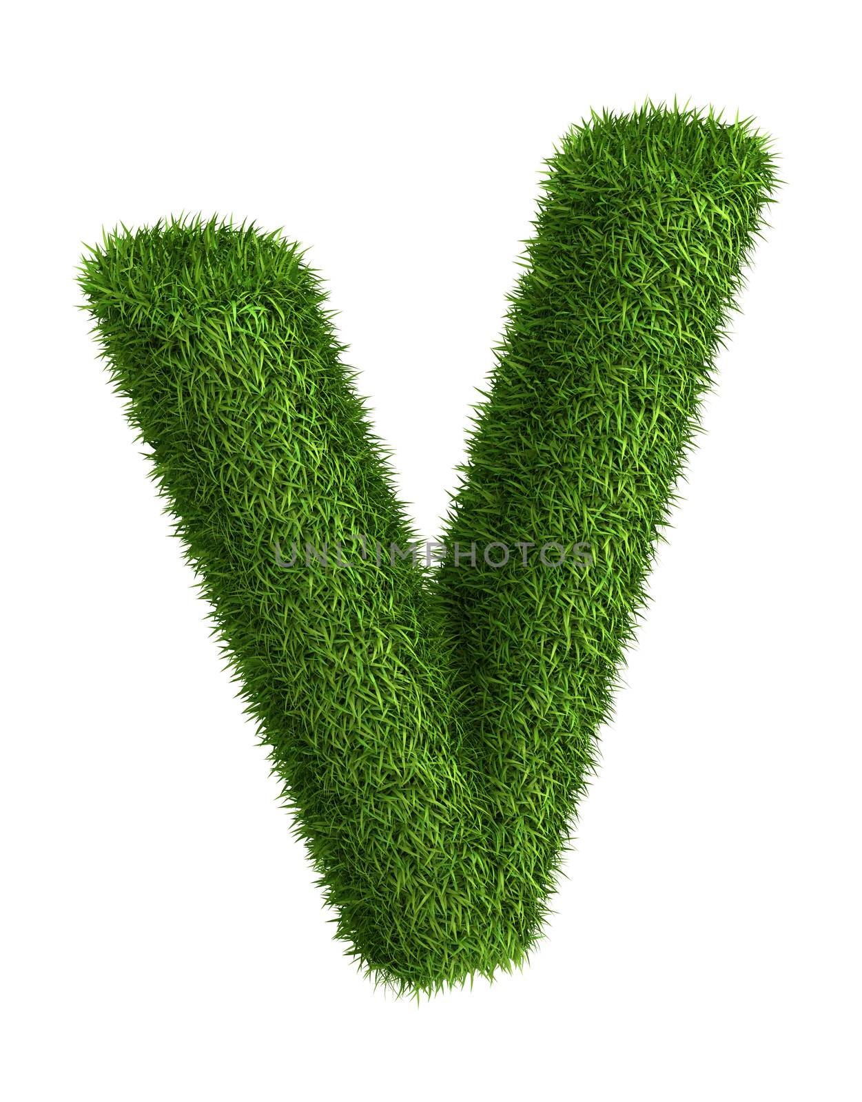 Natural grass letter V by iunewind