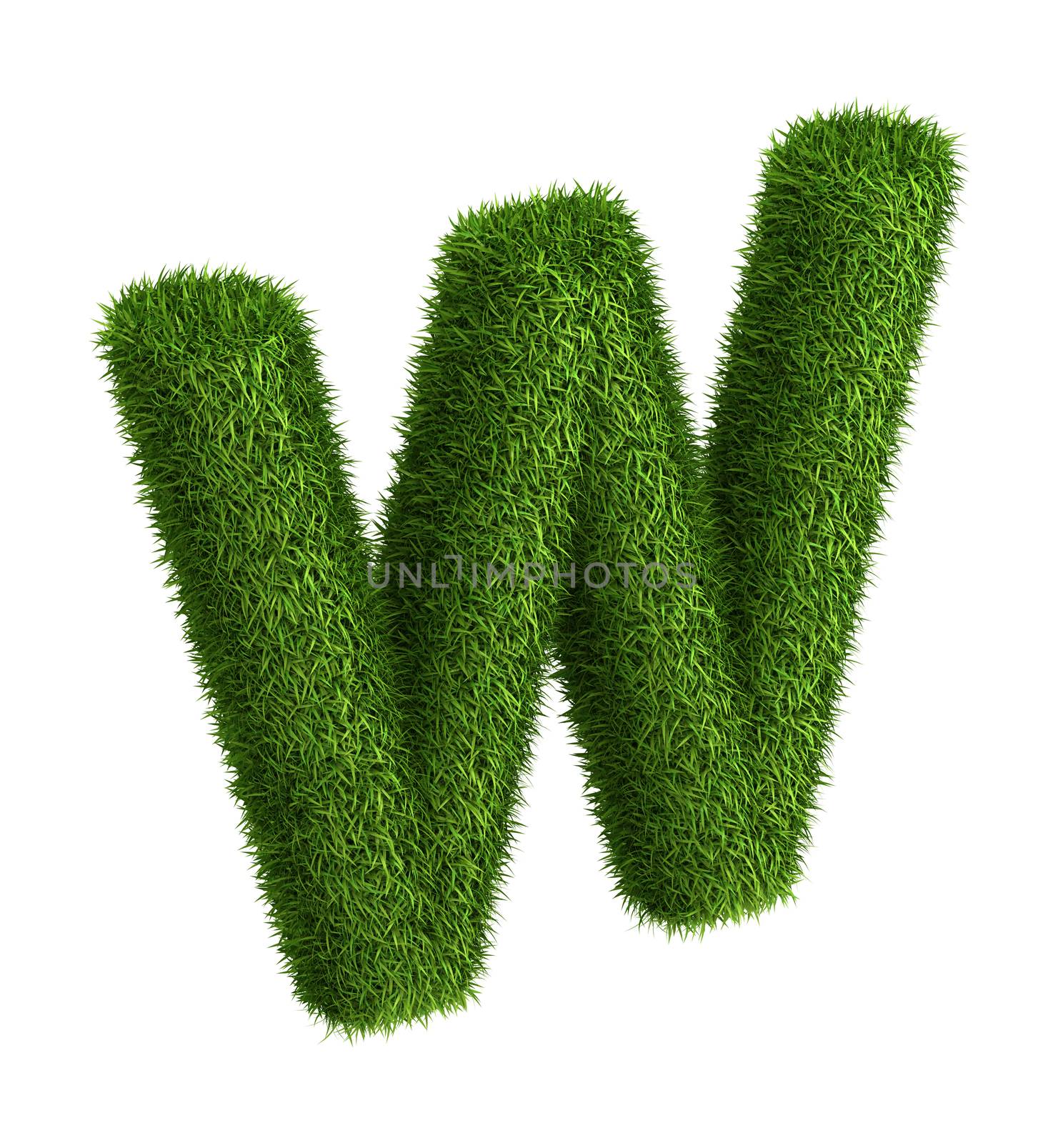 Natural grass letter W by iunewind