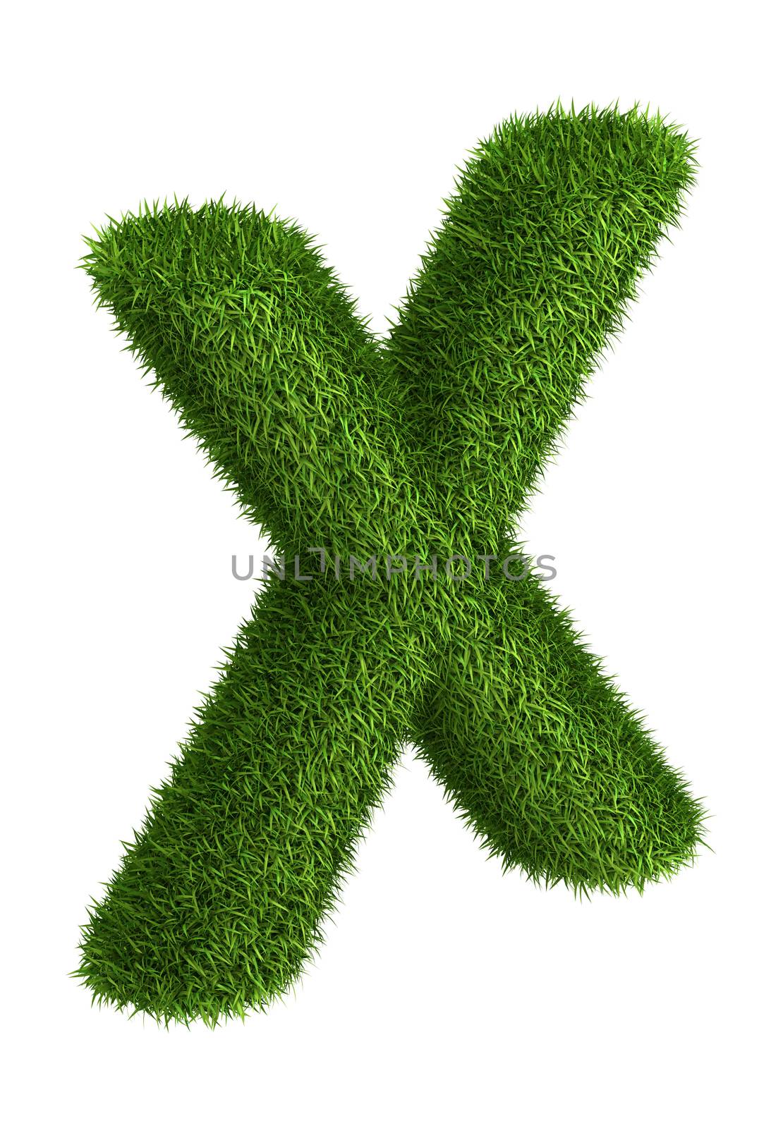 Natural grass letter X by iunewind