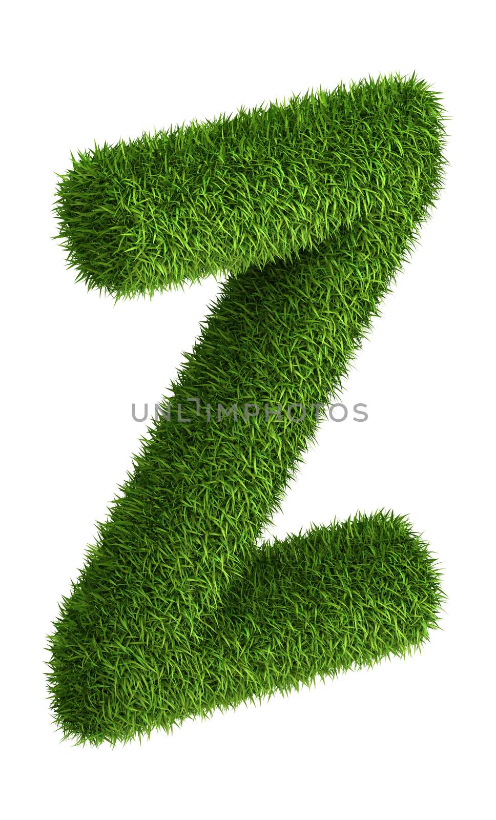 Natural grass letter Z by iunewind