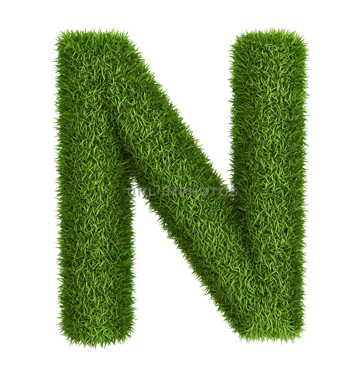 Natural grass letter N by iunewind