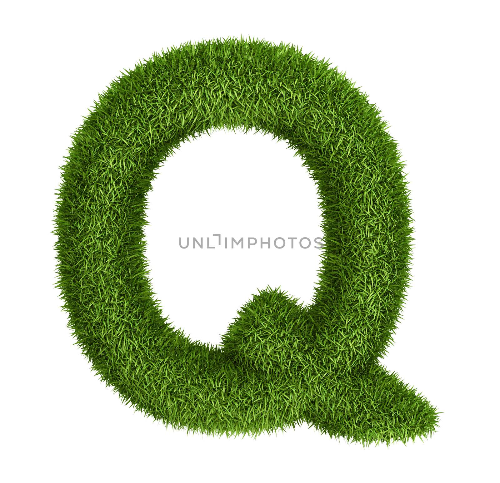 Letter Q  isolated photo realistic grass ecology theme on white