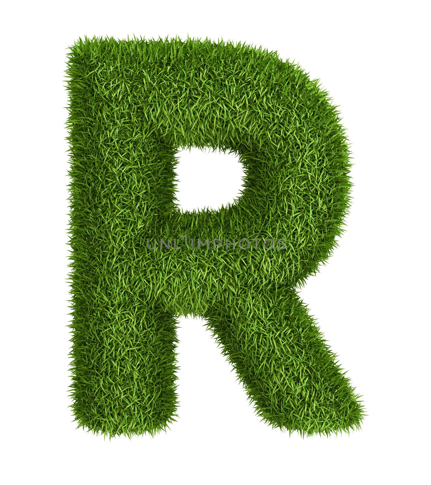 Letter  R isolated photo realistic grass ecology theme on white