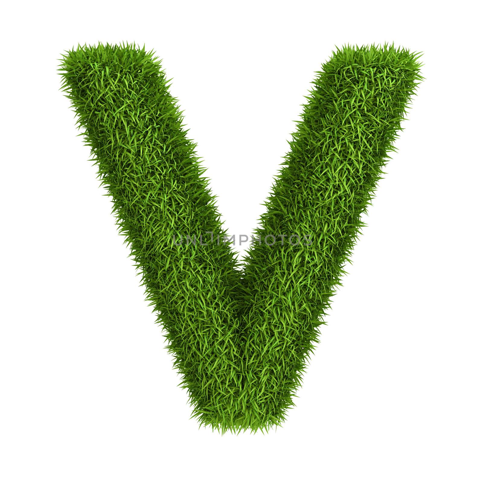 Natural grass letter v lowercase by iunewind