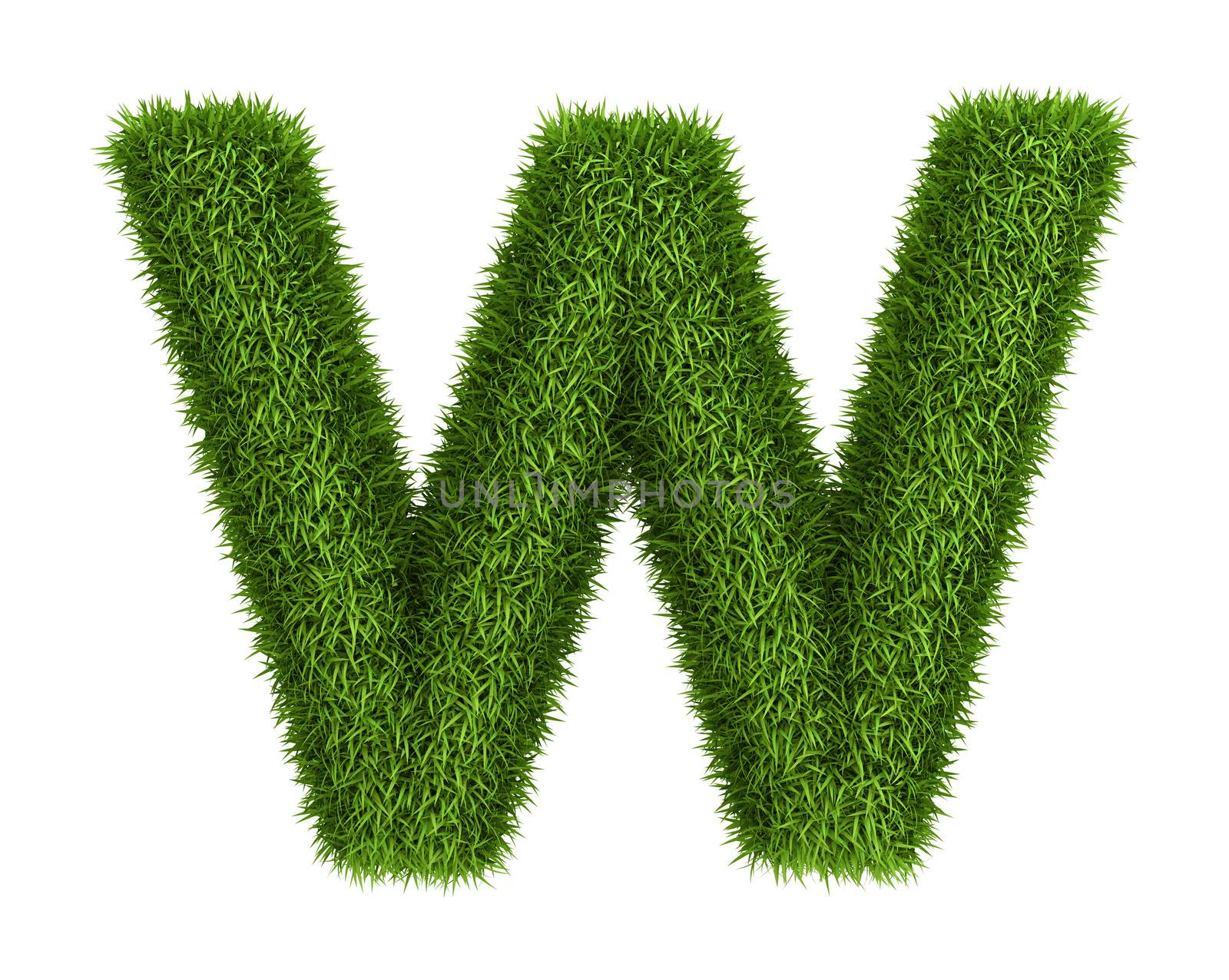 Letter w lowercase photo realistic grass ecology theme on white