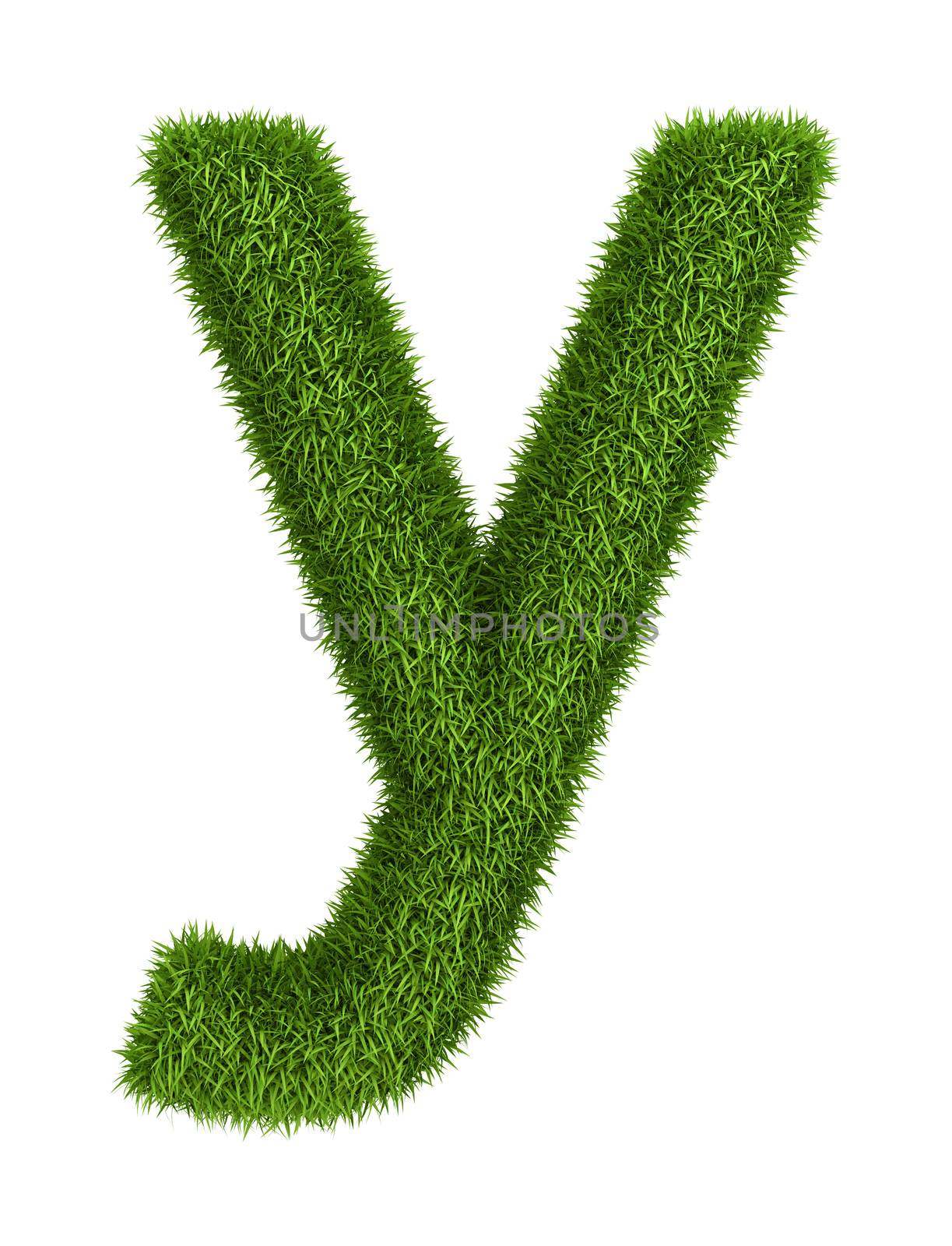 Natural grass letter y lowercase by iunewind